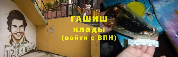 гашик Каменка