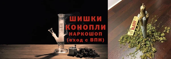 гашик Каменка