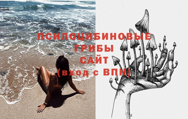 мескалин Касимов