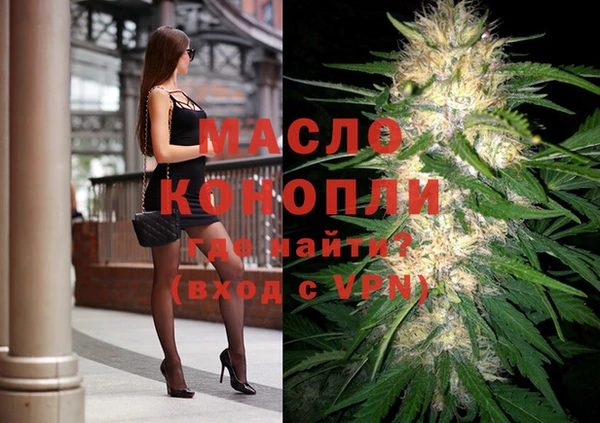 гашик Каменка