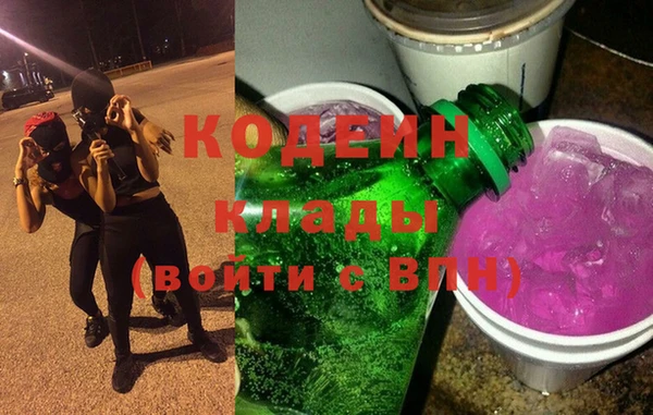 гашик Каменка