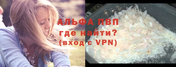 гашик Каменка