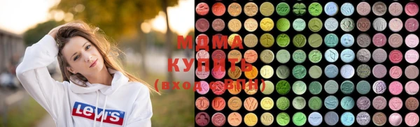 гашик Каменка