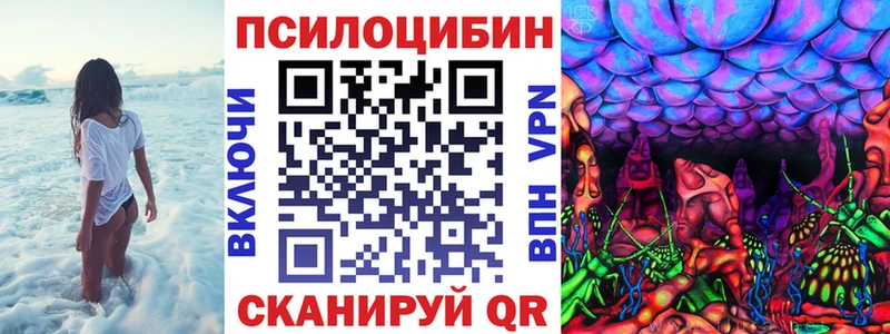 Псилоцибиновые грибы Magic Shrooms  купить наркотик  Николаевск 
